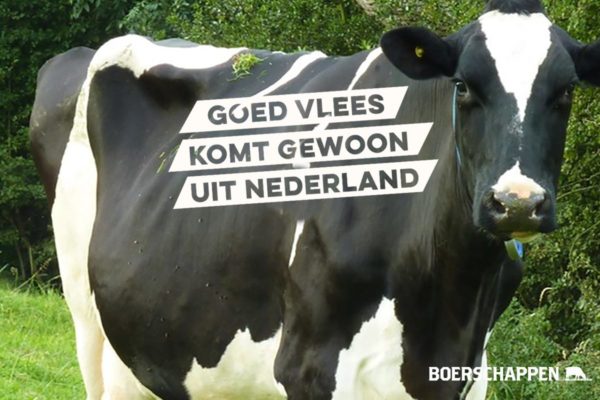 Vleespakket Holstein ± 5 kg